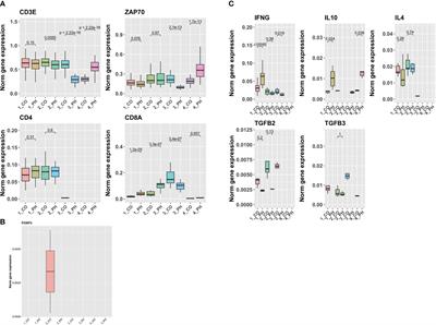 Microenvironmental regulation of T-cells in pulmonary hypertension